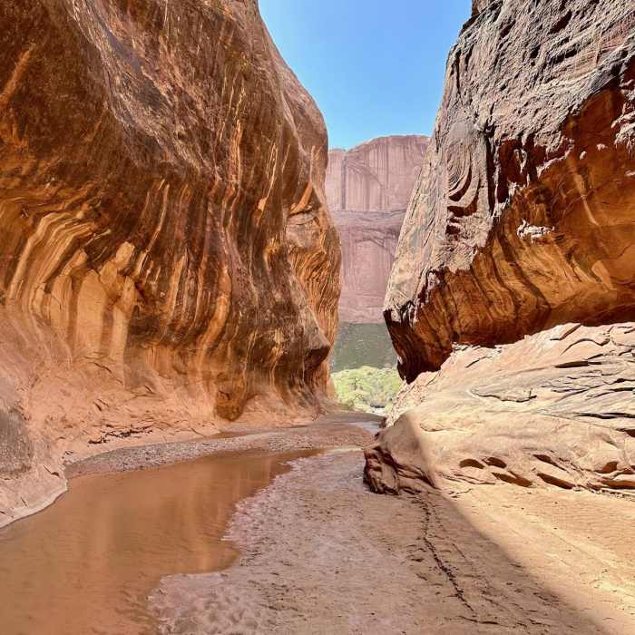 Near Hayduke Trail: Section 6