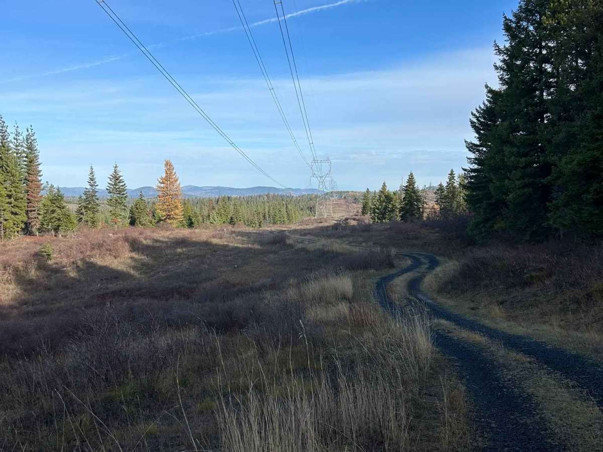 Potlatch River - FS 3332 photo 6