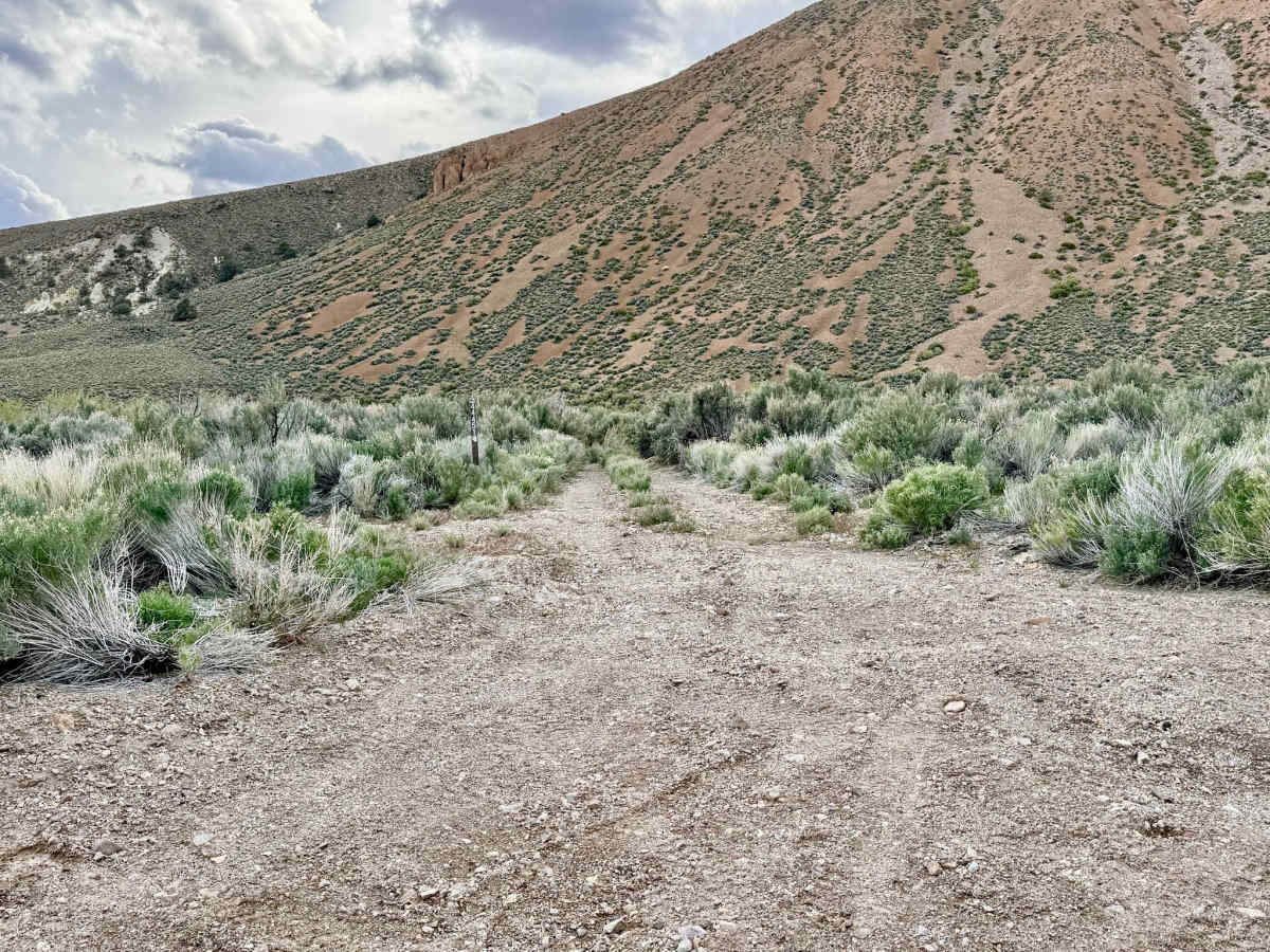 Barrel Spring Dry Canyon - FS 44451 photo 4