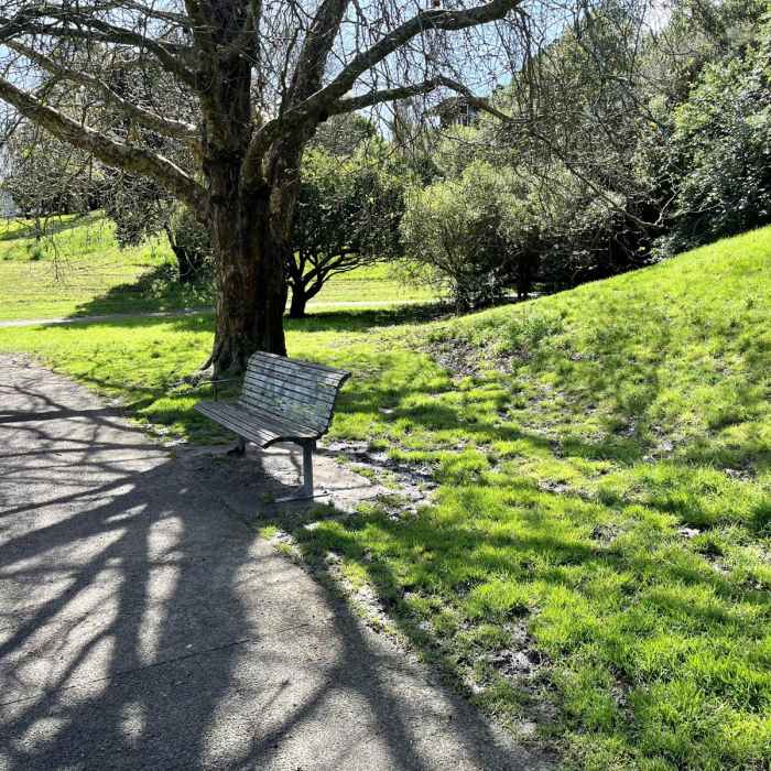 Near Grey Lynn Greenway Near Grey Lynn Greenway