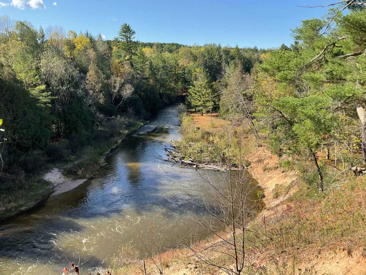 Pine River Corridor photo 3