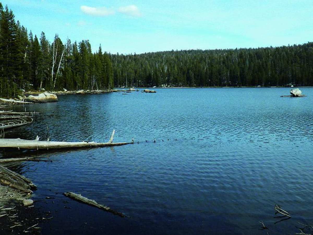 Coyote Lake photo 4