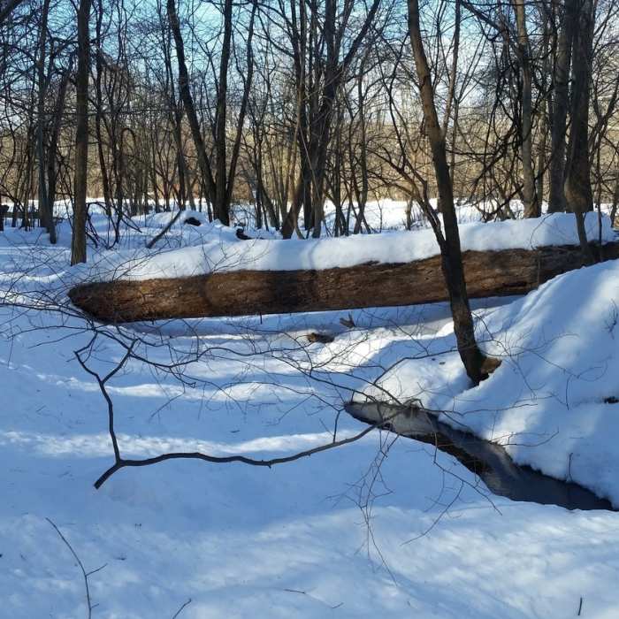 Near Upper Schuylkill River Trail