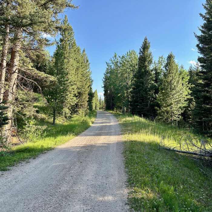 Near Continental Divide Trail: Anaconda Route (Part 2) Near Continental Divide Trail: Anaconda Route (Part 2)