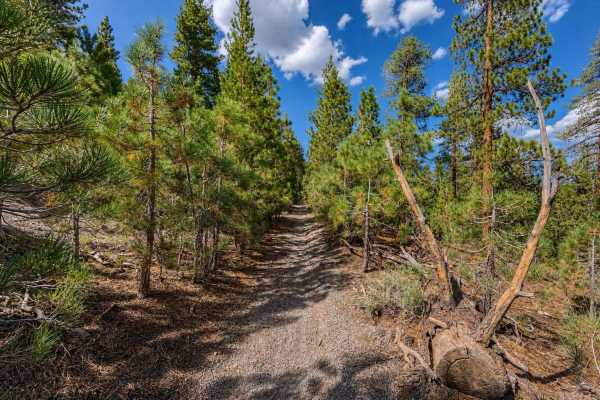 Hartley Spur Trail