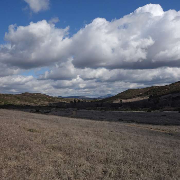 Near Penasquitos Creek Loop