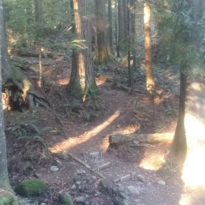 Near Thornhill Trail