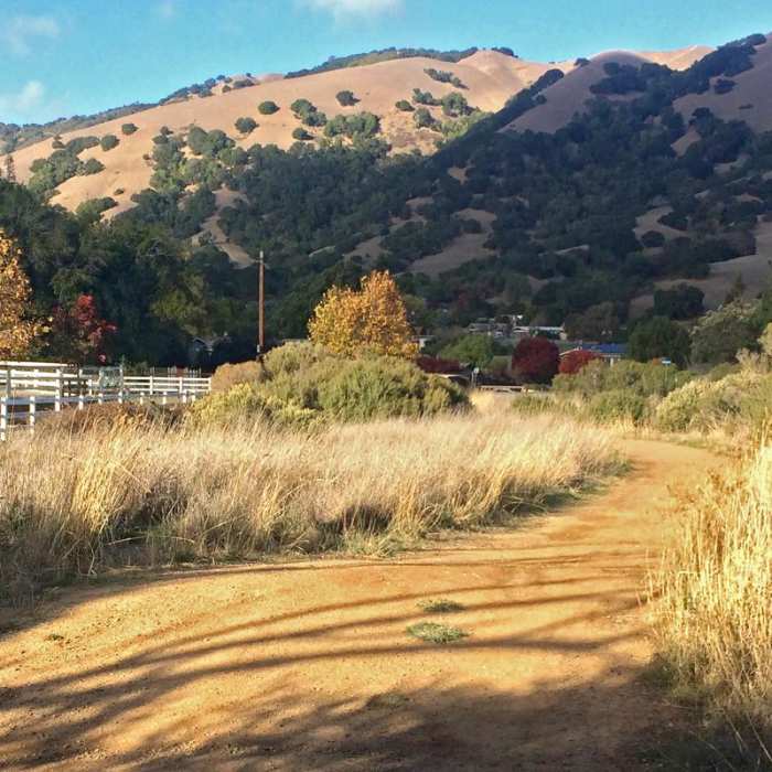 Near Terra Linda Fire Road + 680 Trail Hike