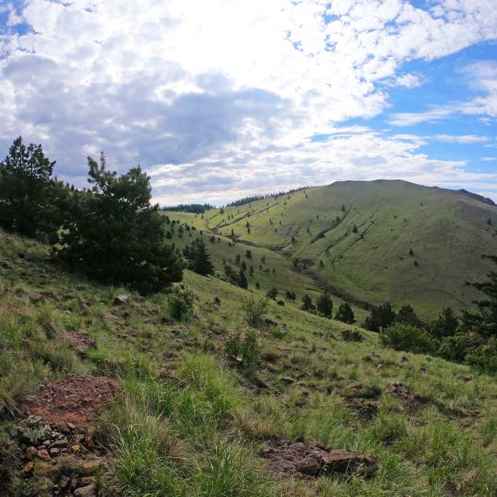 Near Gooseberry Trail