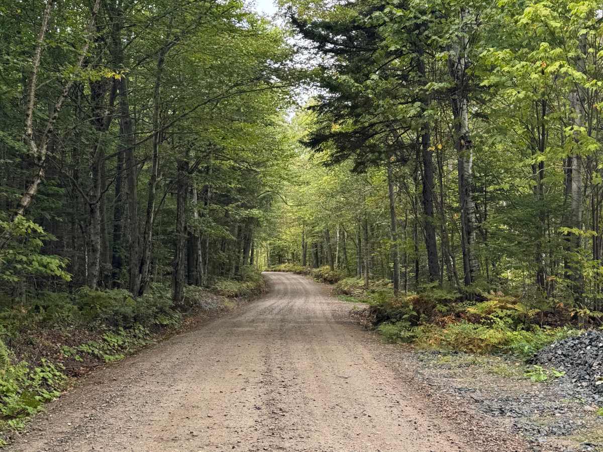Pine Mountain Notch (Dolly Copp Rd) trail photo
