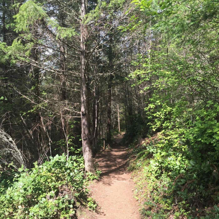 Near Chuckanut Trail