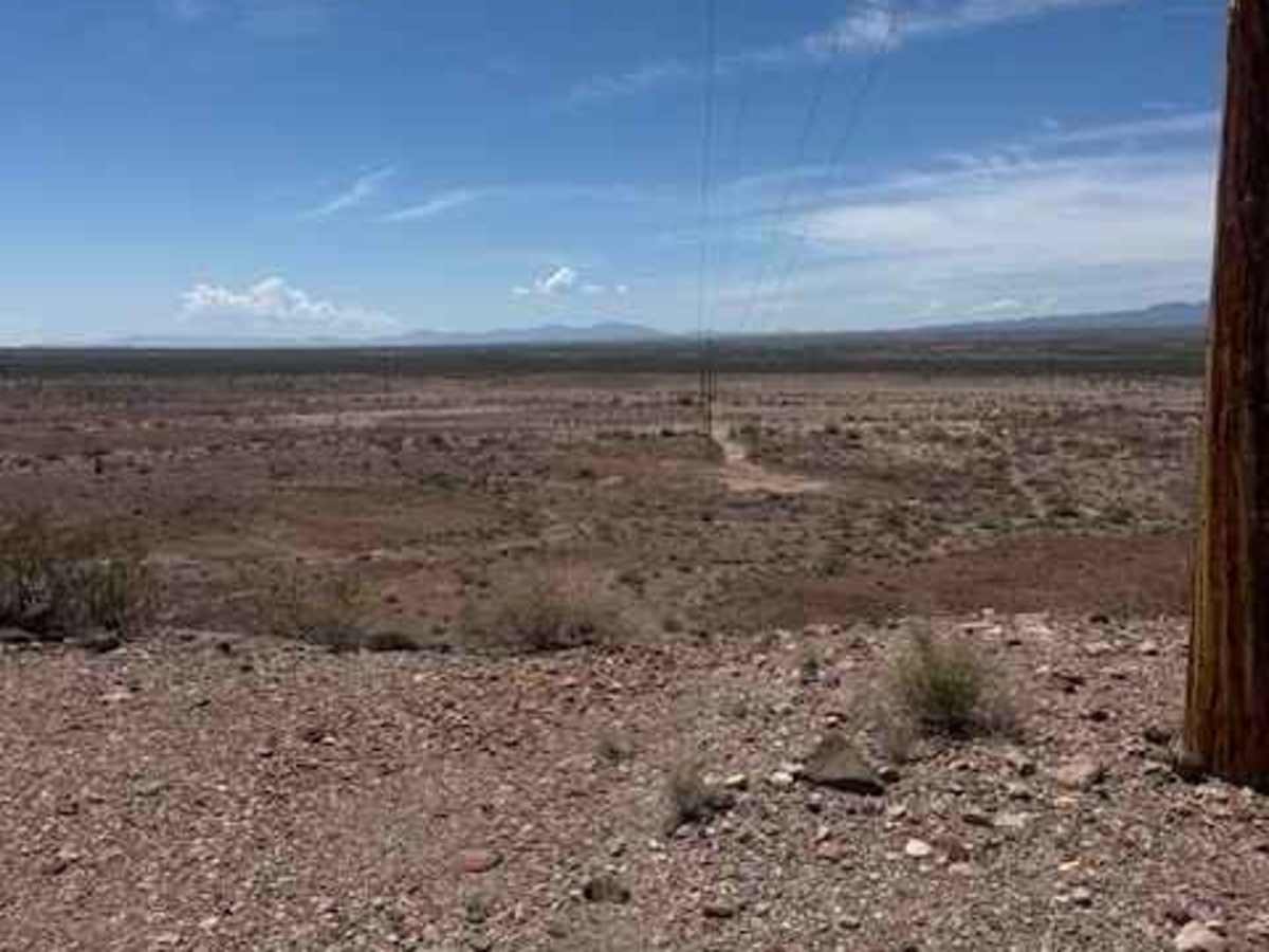 BLM SS1029 photo 6