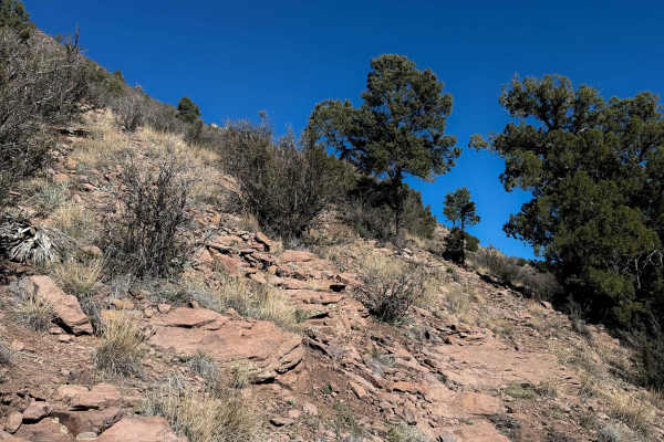 7 Up Trail #5 