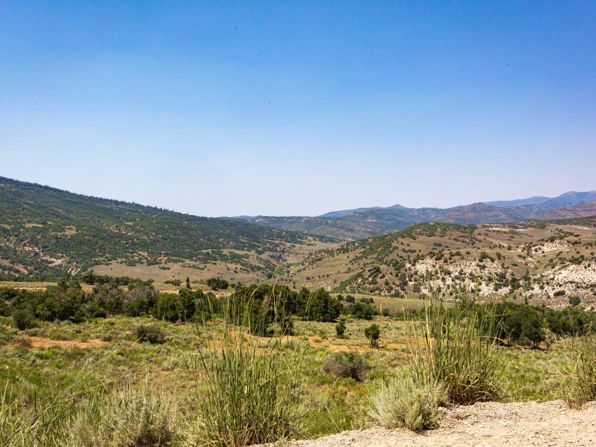 Sheep Creek - FS 70051 photo 5
