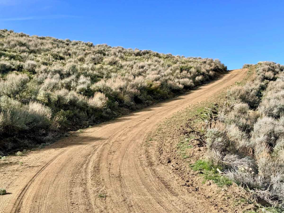 Marshall Canyon - FS 43241 photo 5