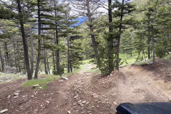 Ringing Rocks Trail