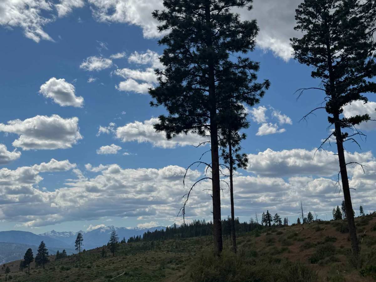 Garrett Canyon Road photo 3