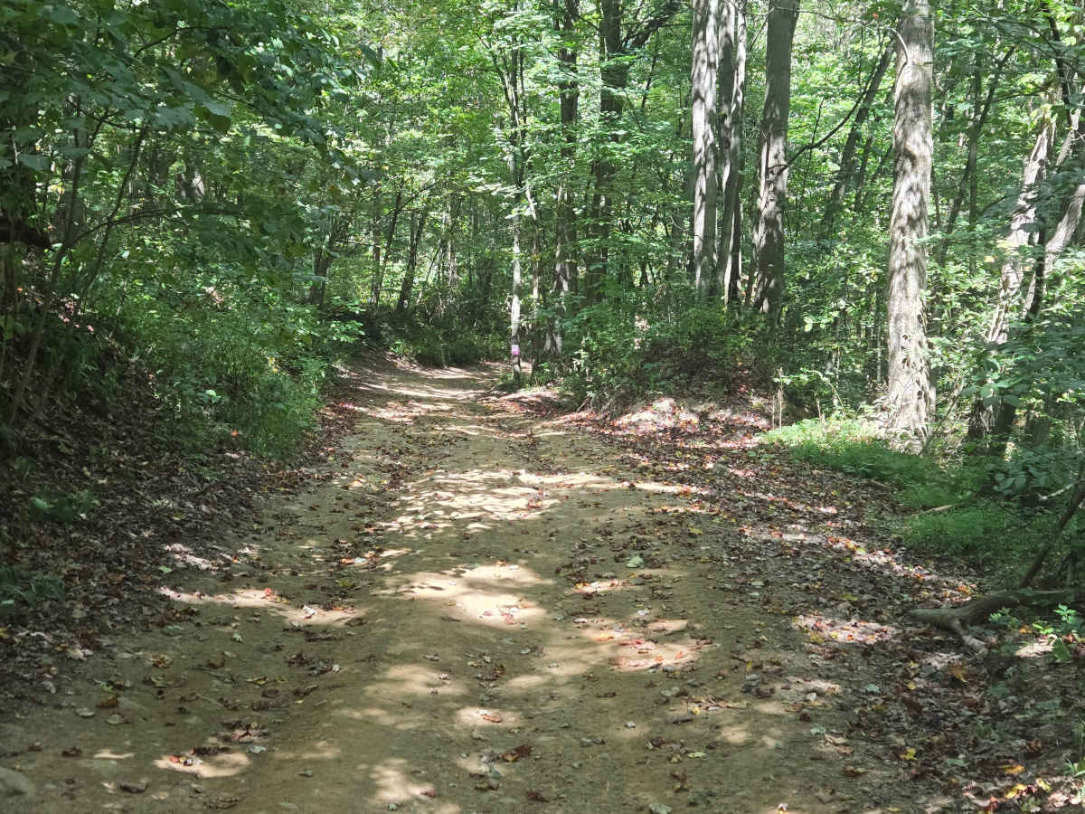 Trail 7 photo 4