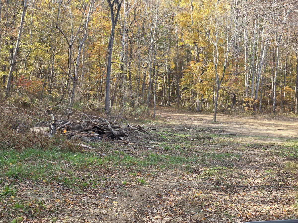 Green Bean trail photo