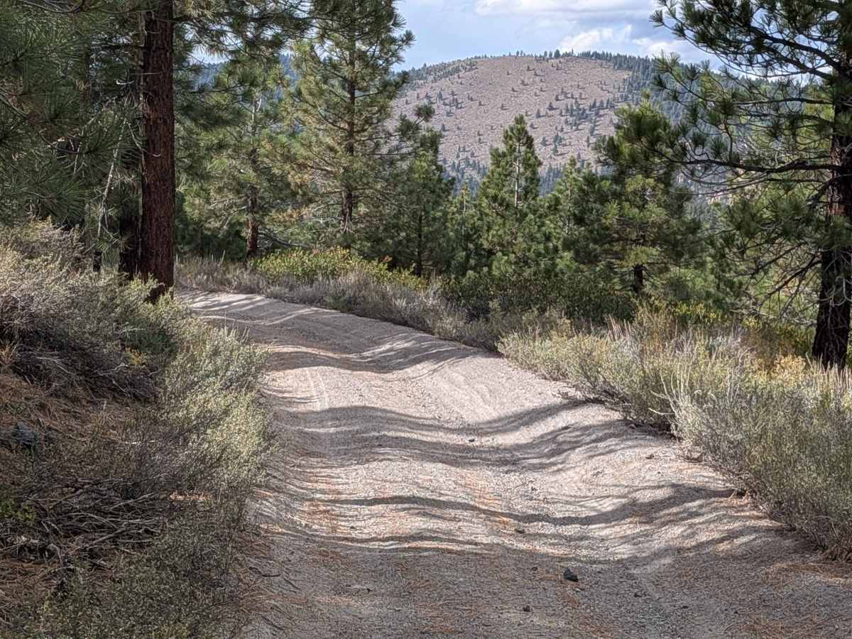 Lookout Mountain Lateral - FS 2S87 photo 6