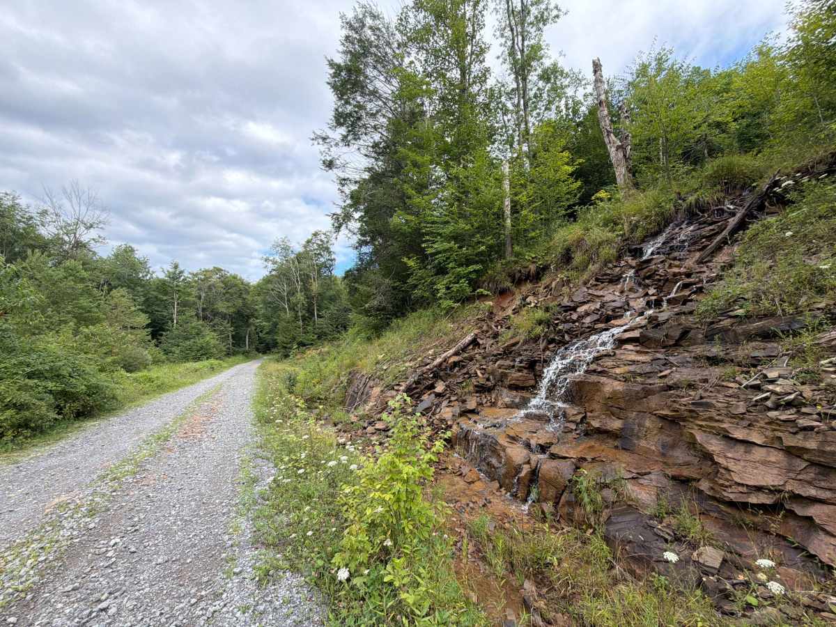South Fork Cherry Road photo 2