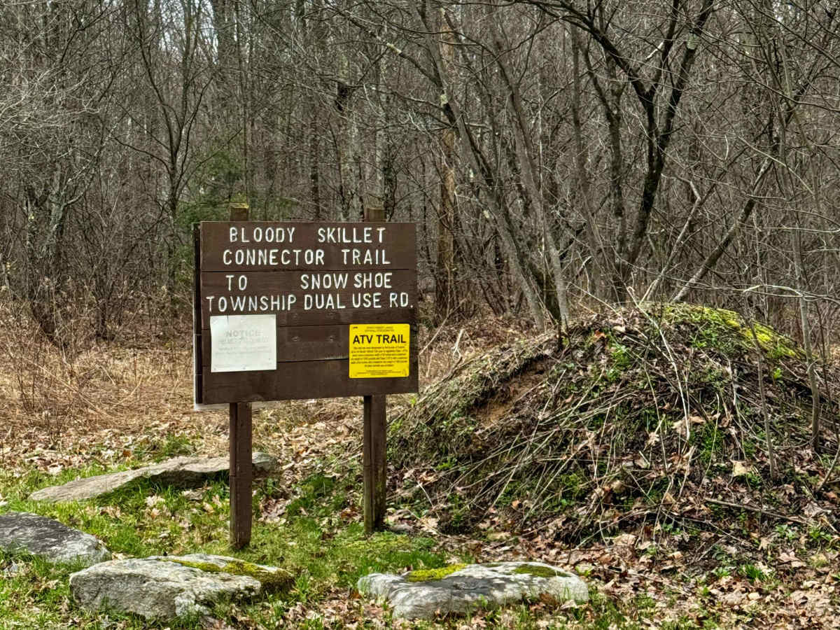 Bear Creek Forest Road photo 2