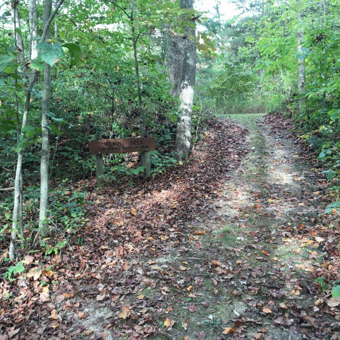 Near Prairie Warbler Trail