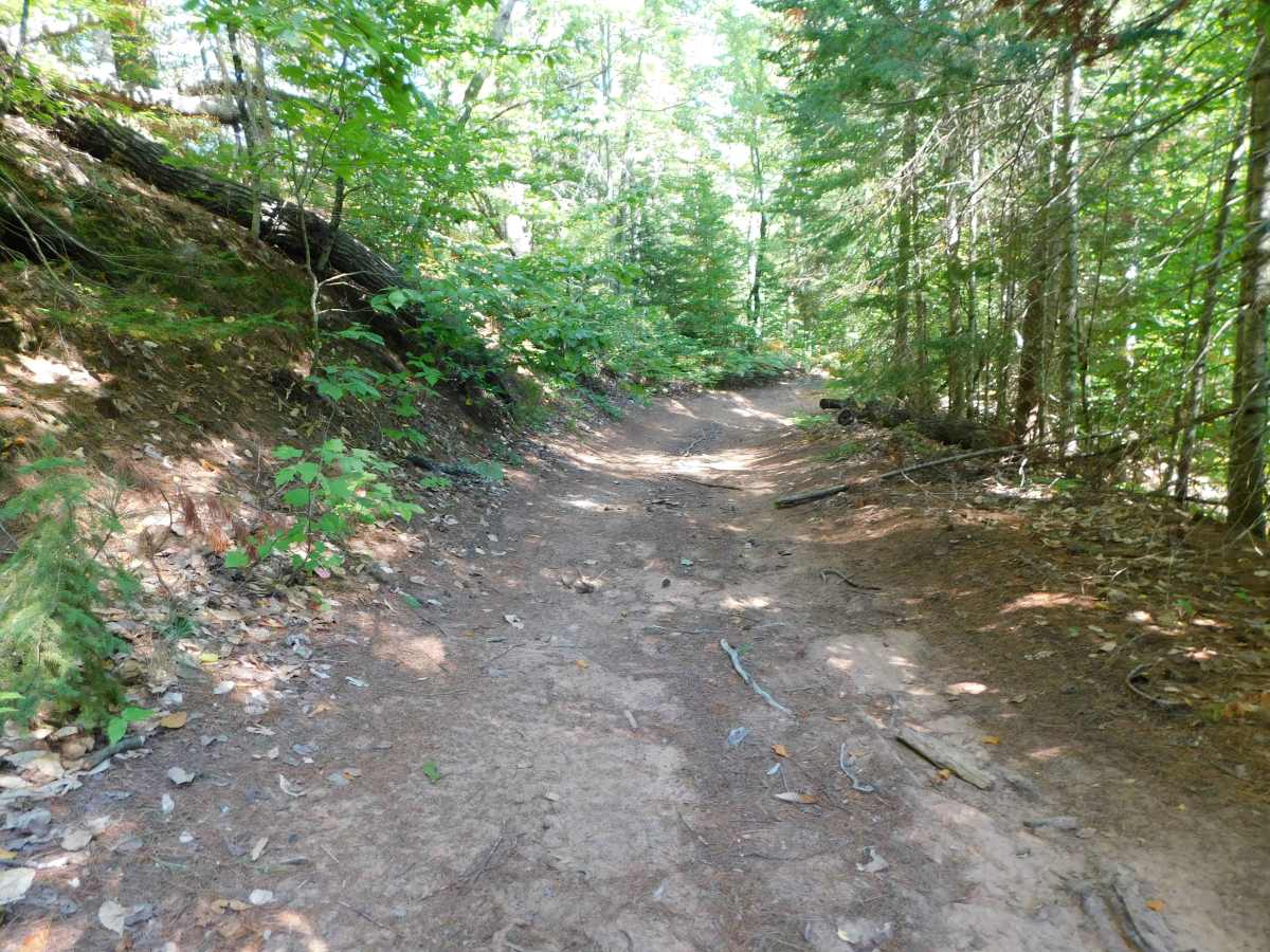 North Country Trail photo 3