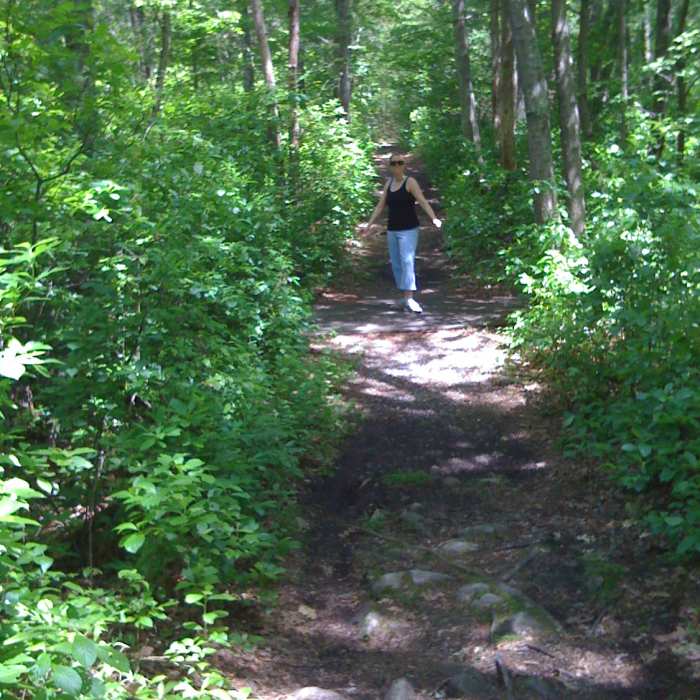Hiking in Wompatuck" by Matthew Simoneau (https://tinyurl.com/wal49bv), Flickr licensed under CC BY-SA 2.0 (https://creativecommons.org/licenses/by-sa/2.0/). Near Wompatuck Loop