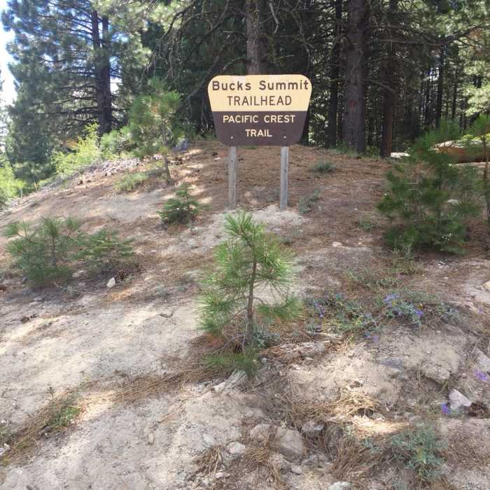 Near Pacific Crest Trail: California Section M - Highway 49 (Sierra City) to Belden Near Pacific Crest Trail: California Section M - Highway 49 (Sierra City) to Belden