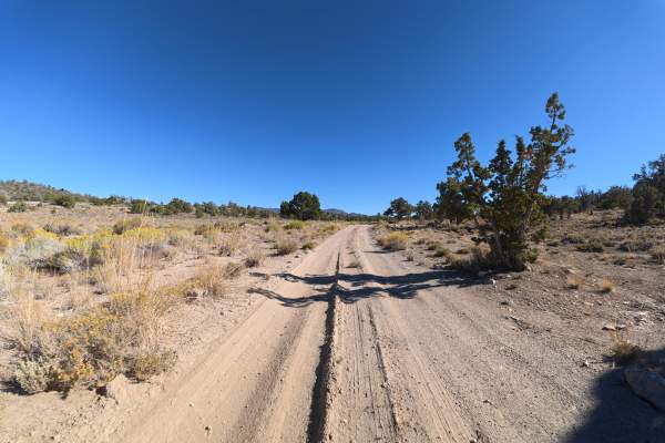 Carma Loop