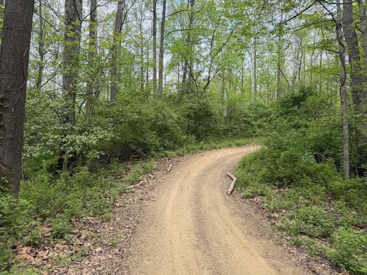 Hanging Rock Trail photo 5