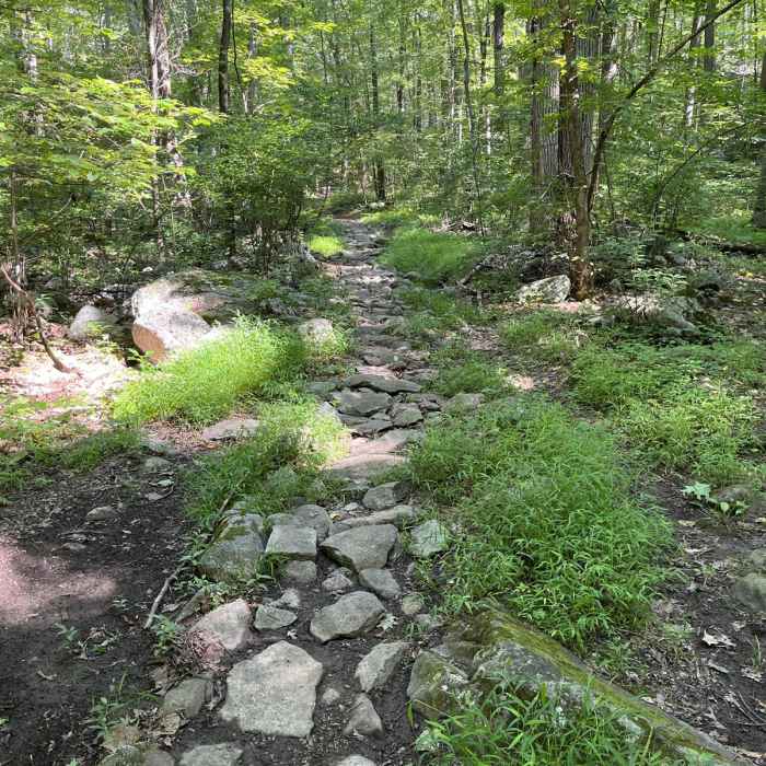 Near Waving Willie Loop Near Waving Willie Loop