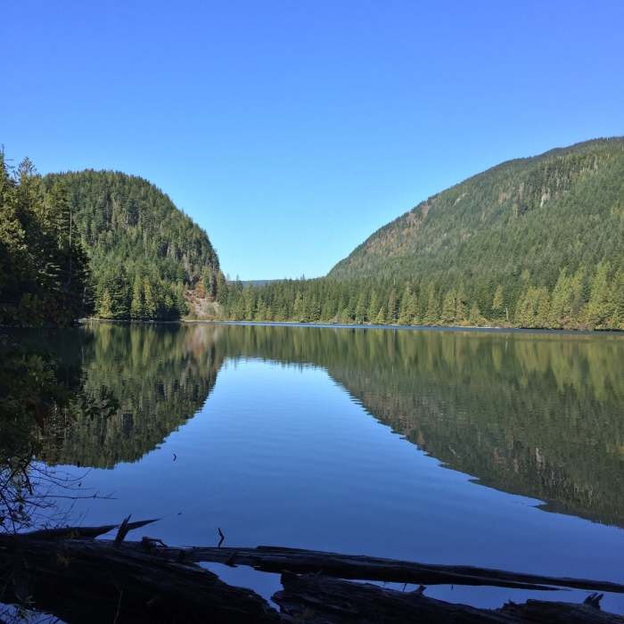 Near Greg Ball Trail