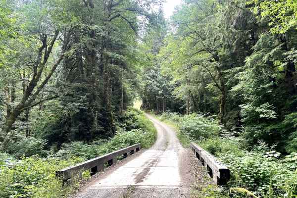 Shields Road