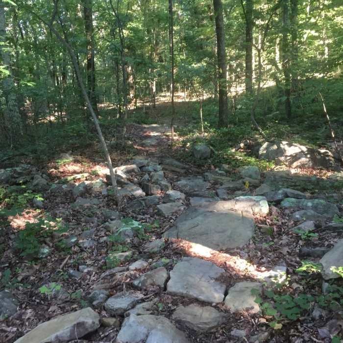 Warpath Ridge | Hiking Trail Maps, Difficulty, Trail Status | onX