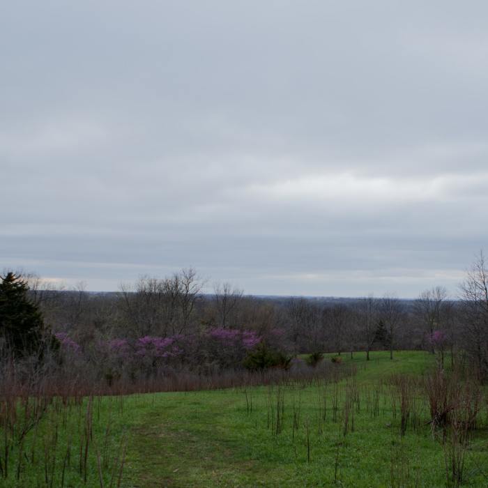 Near Hardwood Trail