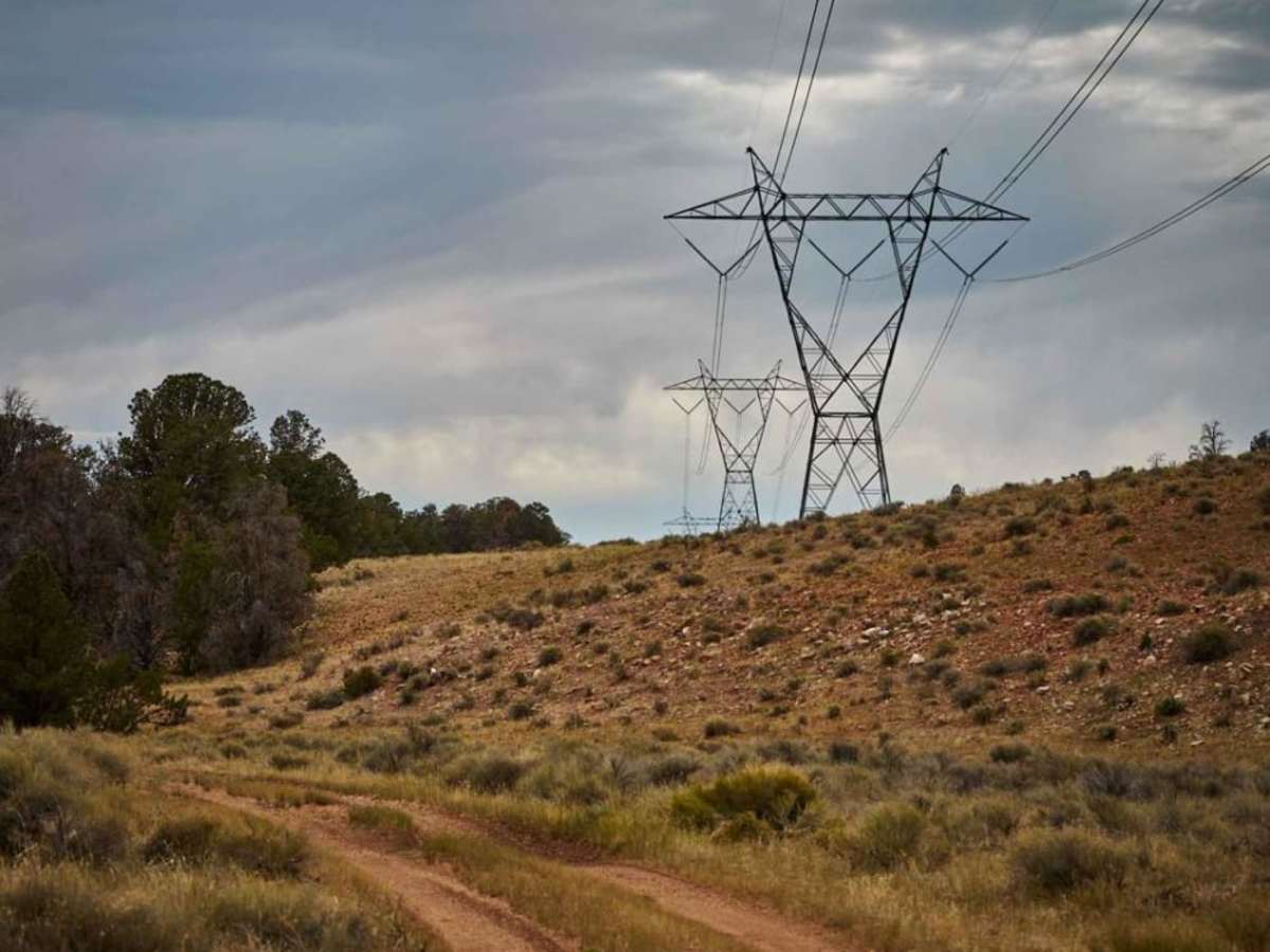 776 / Powerline Road photo 4