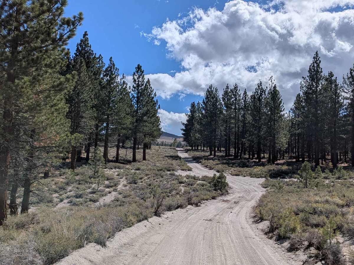 FS 1S160 trail photo