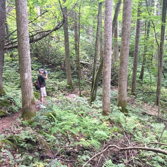 Taking a water break shortly after the steep Coon Den Falls Trail intersects the Appalachian Trail. Near Coon Den Falls and Appalachian Trail Loop
