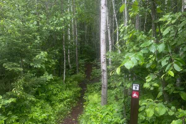 Alger Grade - Trail 9