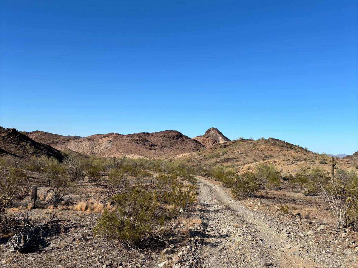 BLM 0129 photo 2