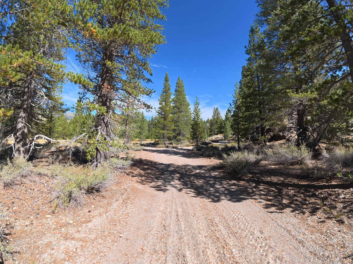 Deadman Flats - FS 3S56 trail photo