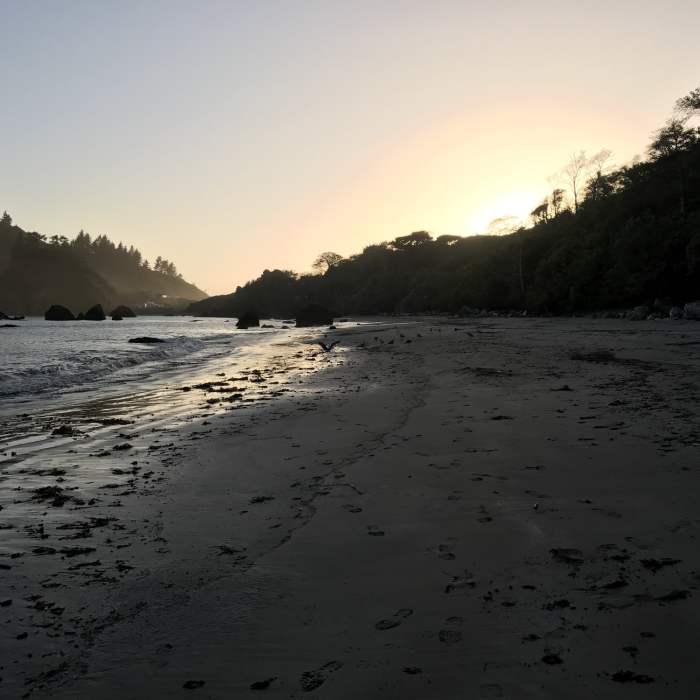 Old Home Beach near the the Parker Creek Trail, in Trinidad. Near Parker Creek Trail