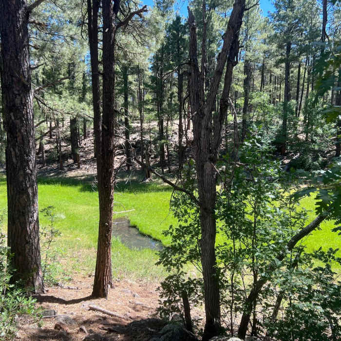 Near Springs Trail Near Springs Trail