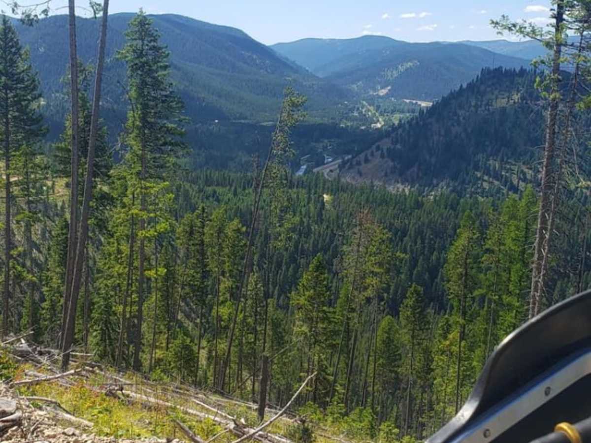 Up Up Lookout Loop trail photo