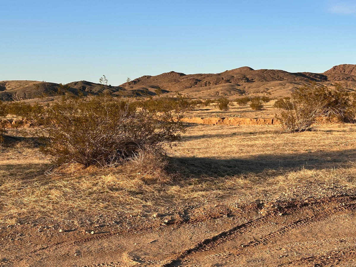 Roundabout Rim photo 6