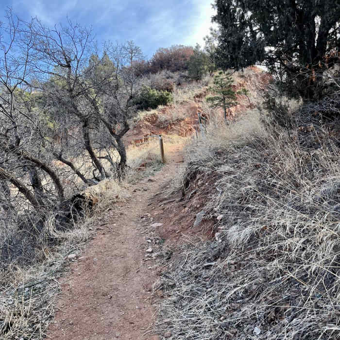 Near Red Rock, Lion, and Section 16 Loop