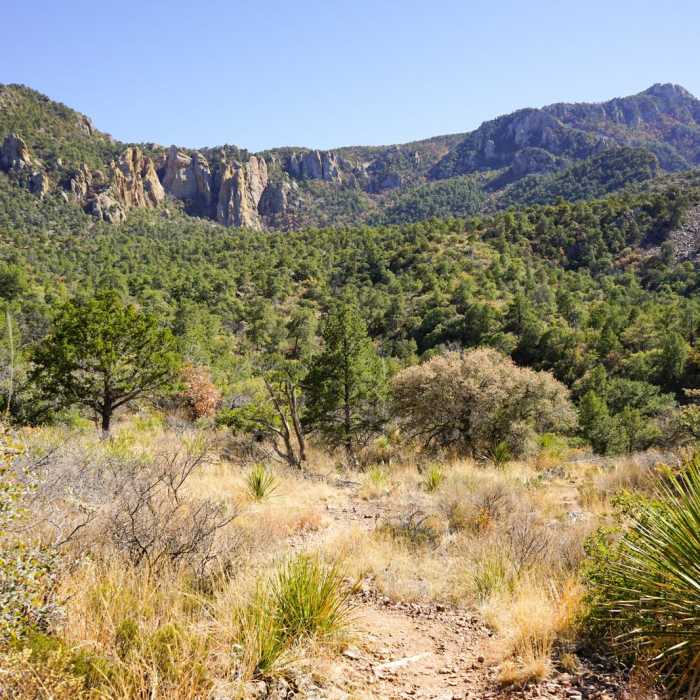 Near Chisos Basin Loop