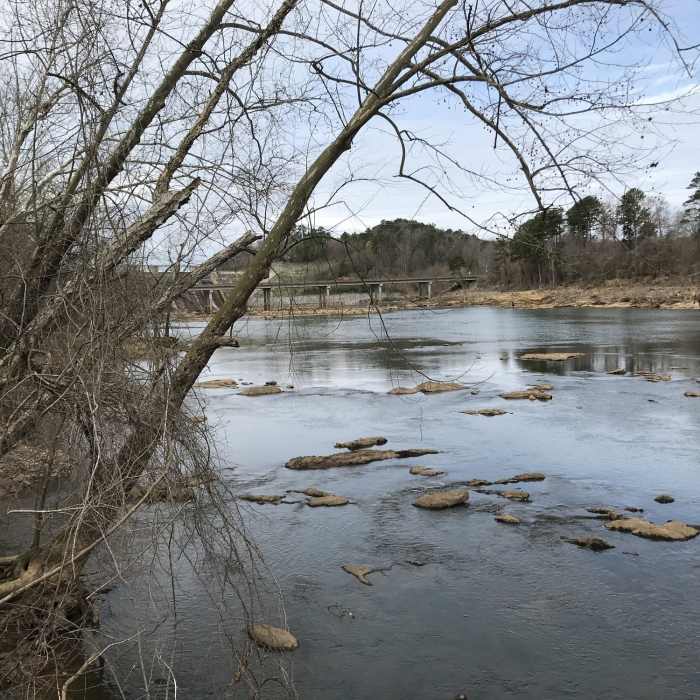 Near Red Trail